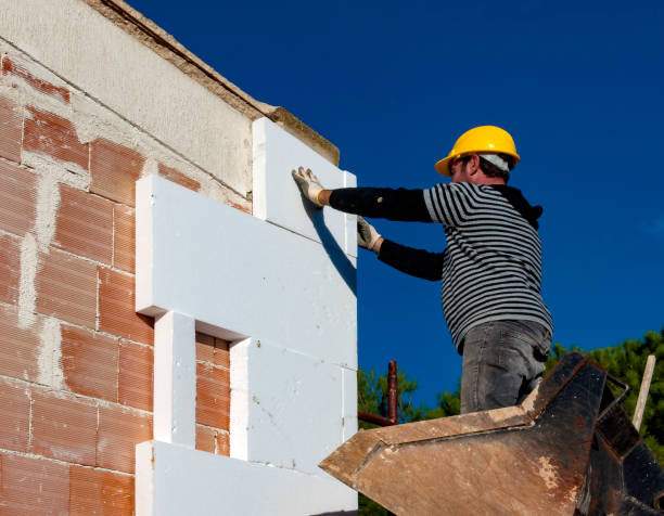 Best Insulation Replacement Services  in Sanford, NC