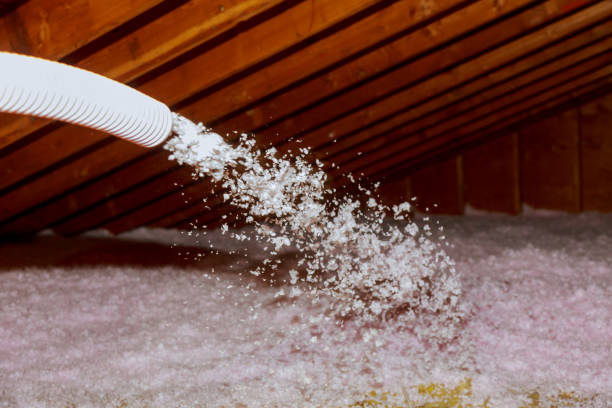 Best Insulation Contractors for Homes  in Sanford, NC