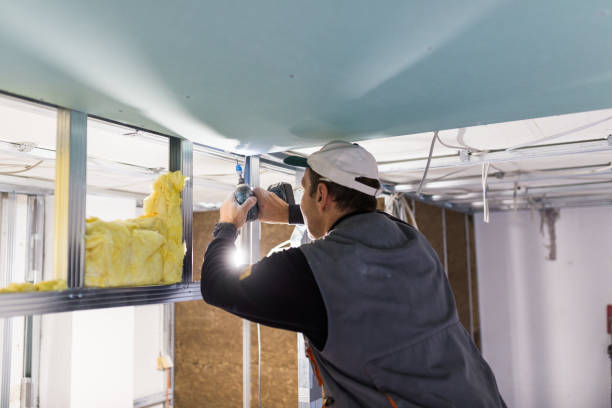 Best Attic Insulation Installation  in Sanford, NC