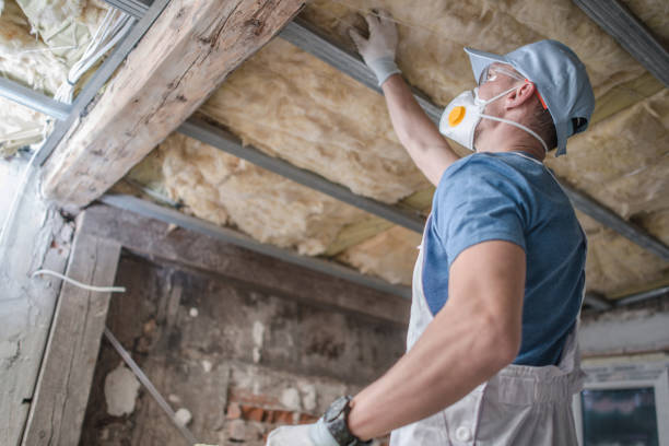 Best Insulation Replacement Services  in Sanford, NC