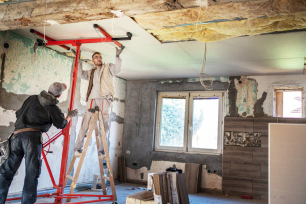 Best Wall Insulation Contractor  in Sanford, NC