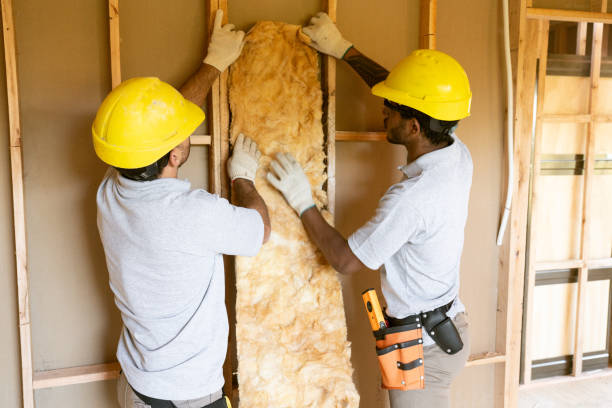 Best Insulation Contractor Near Me  in Sanford, NC