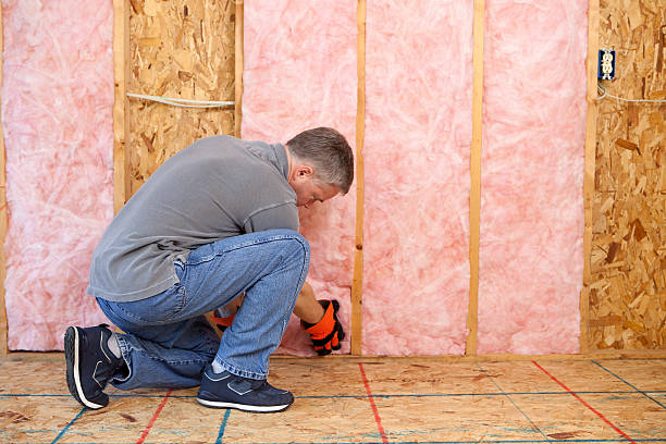 Best Insulation Inspection Services  in Sanford, NC