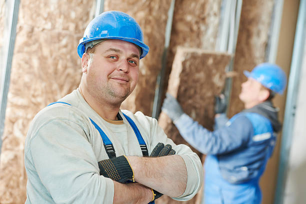 Best Attic Insulation Installation  in Sanford, NC