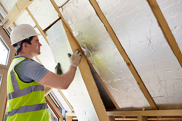 Best Crawl Space Insulation  in Sanford, NC
